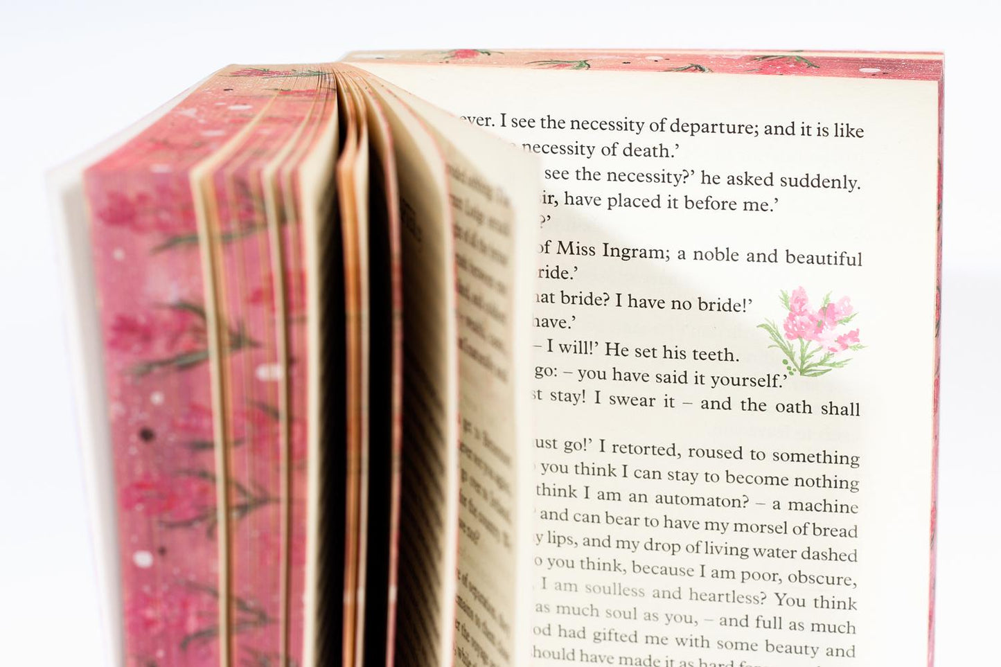 Fore-edge painting | Charlotte Brontë - Jane Eyre