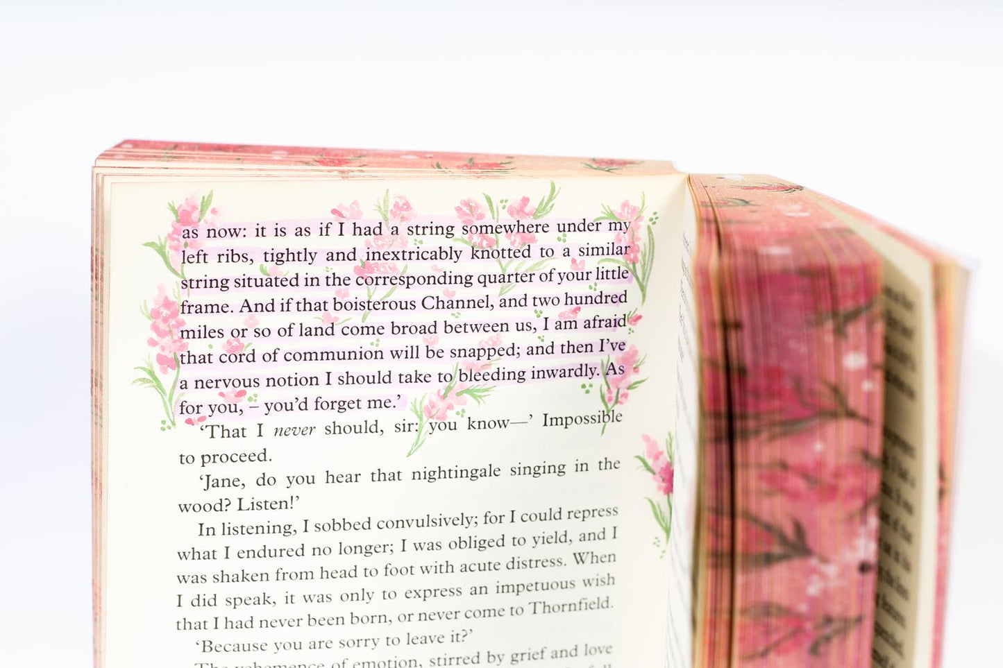 Fore-edge painting | Charlotte Brontë - Jane Eyre