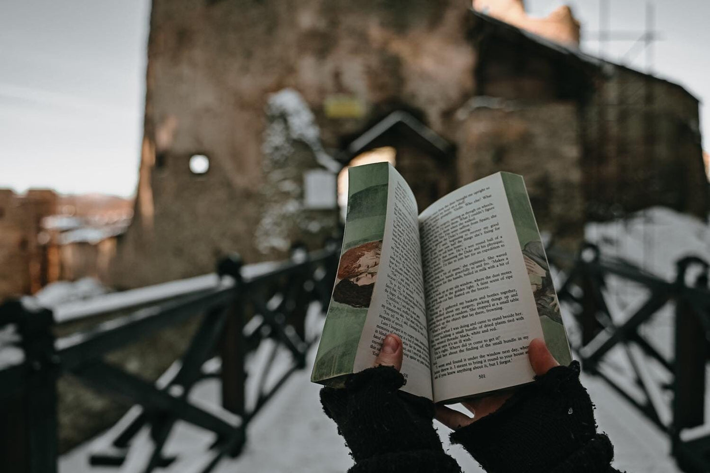 Fore-edge painting | Cross Stitch (Outlander) - Diana Gabaldon